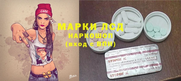 spice Пересвет