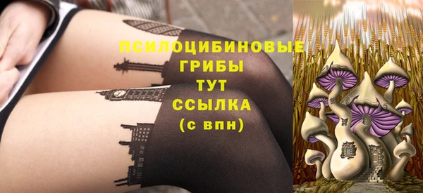 spice Пересвет