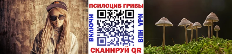 купить Петровск Псилоцибиновые грибы GOLDEN TEACHER