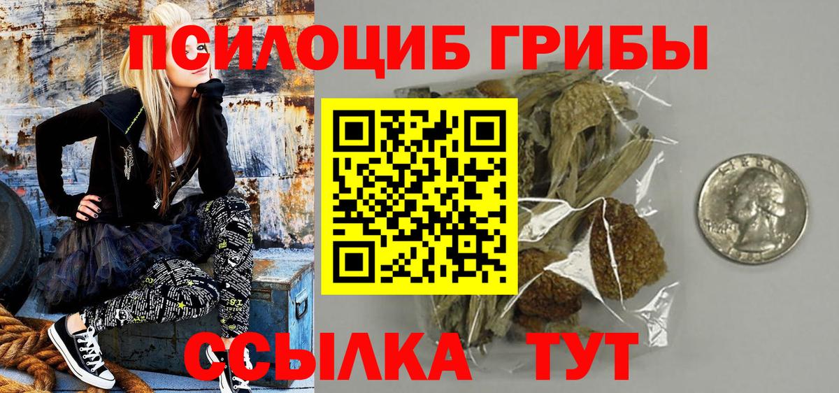Галлюциногенные грибы Cubensis  Вход с VPN  Петровск 